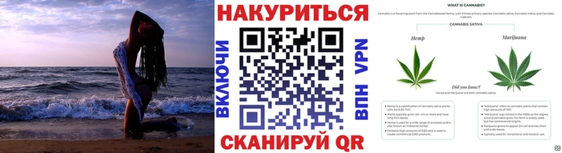 Конопля Кирс