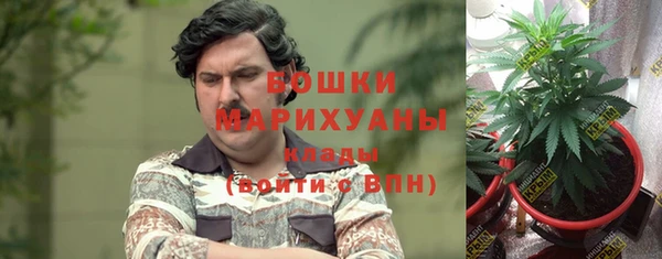 мет Кинешма