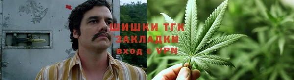 гашиш Касимов